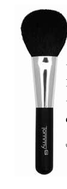 Powder  Brush